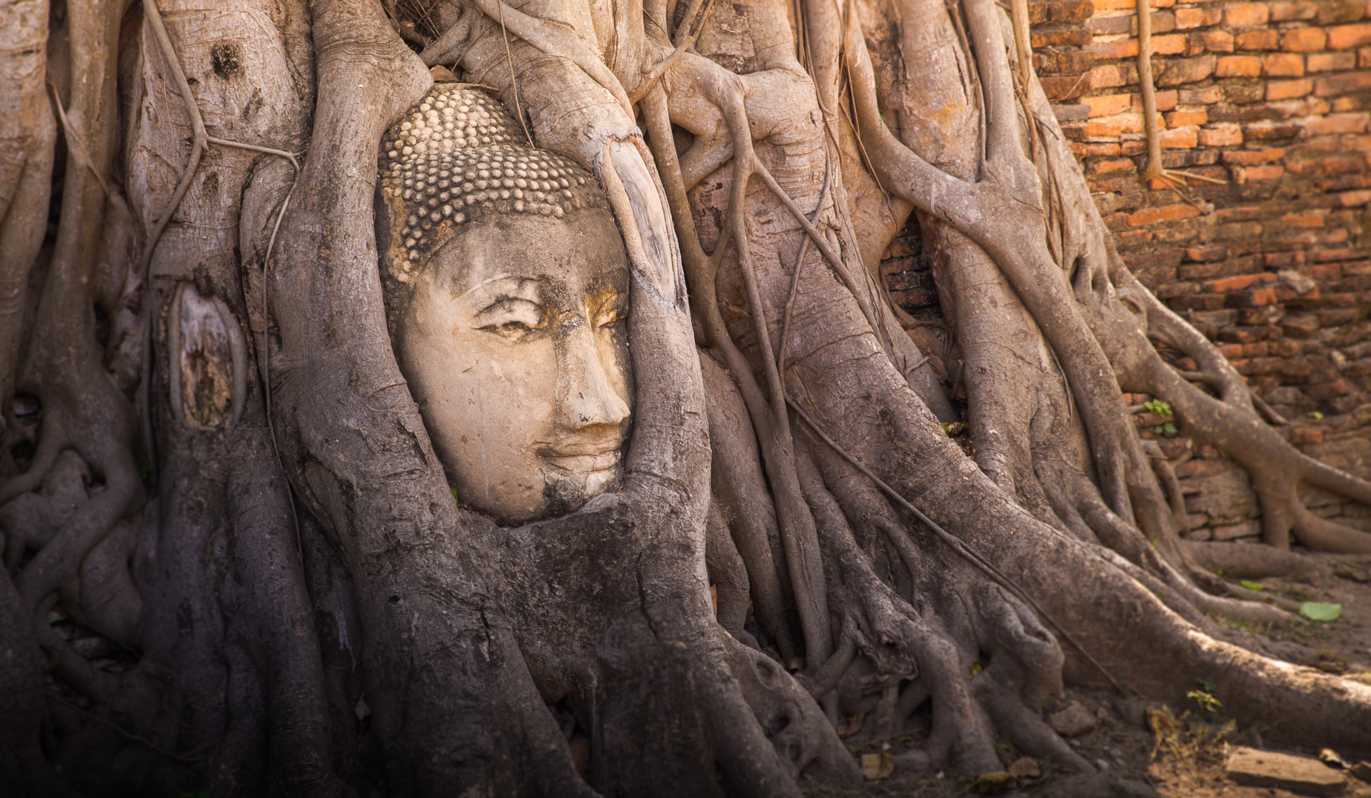 Ayutthaya, things to do in Thailand
