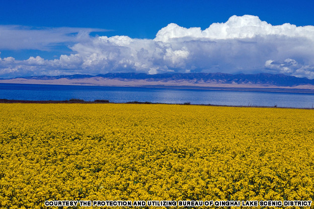 Qinghai: Qinghai Lake - most beautiful places to visit in China