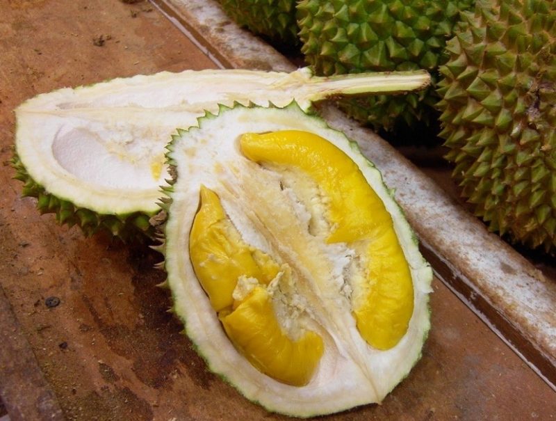 Durian, the most stinky fruit in the world BonAdvisor