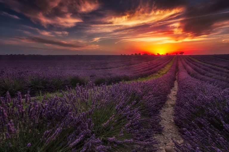The 30 Most Beautiful Places to Visit in France - BonAdvisor