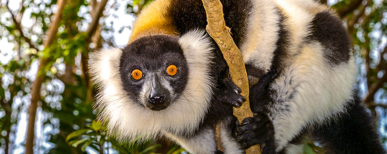 Madagascar itinerary - things to do