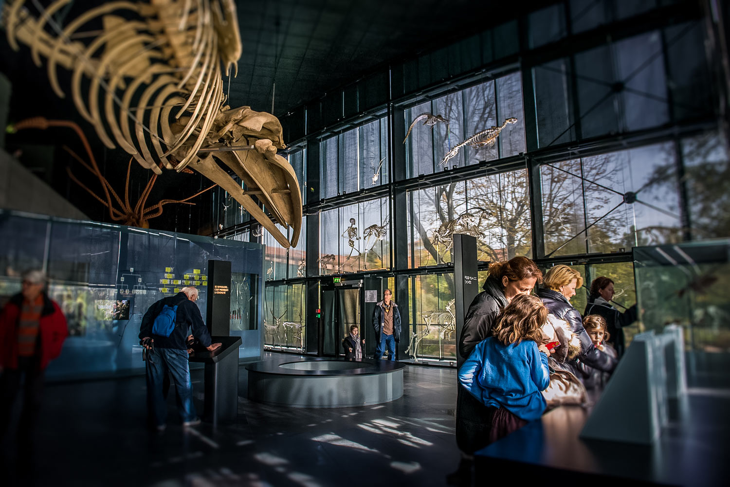 The Museum of Natural History - 3 days in Toulouse itinerary