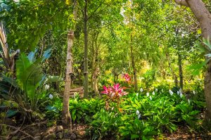 Top 20 Things to Do in Reunion Island - BonAdvisor