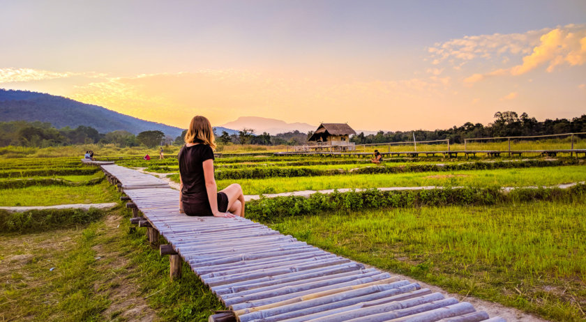 The rice fields - 10 Day Thailand Itinerary - top things to do