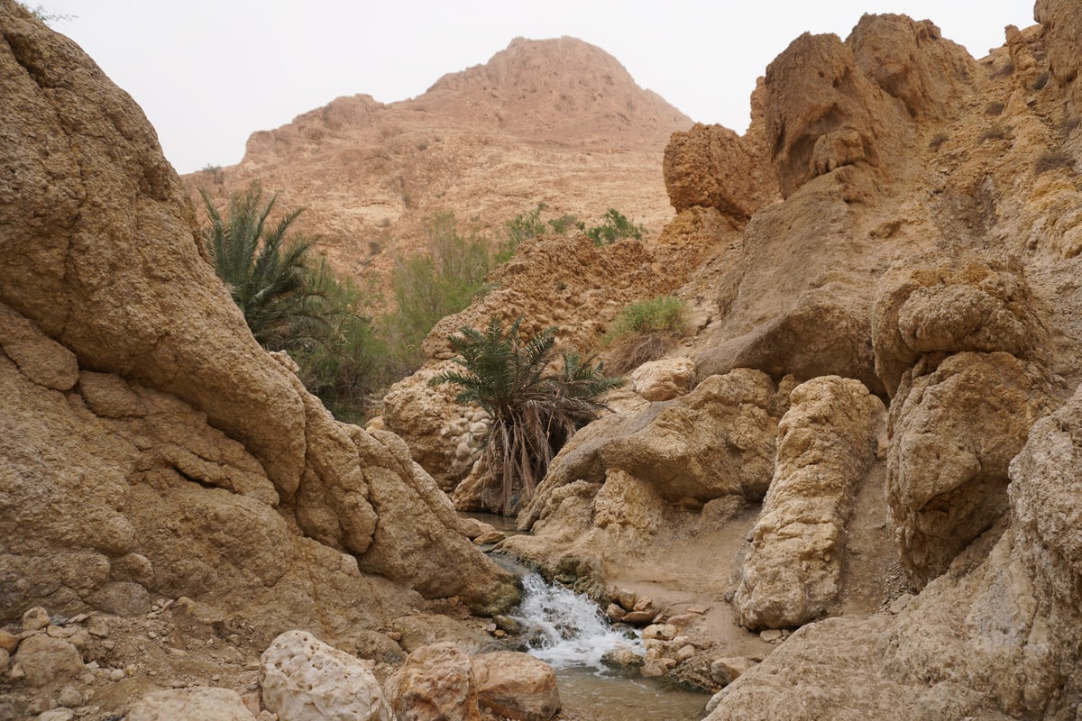 Sahara-oasis-de-Chebika-itineraire-en-Tunisie
