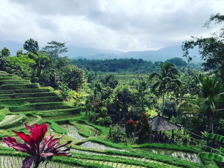 Munduk - 15 days in Bali Itinerary