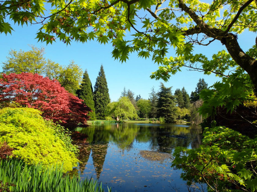 VanDusen Botanical Garden in Vancouver