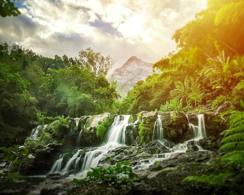 The Black River Gorges National Park, best thing to do in Flic en Flac