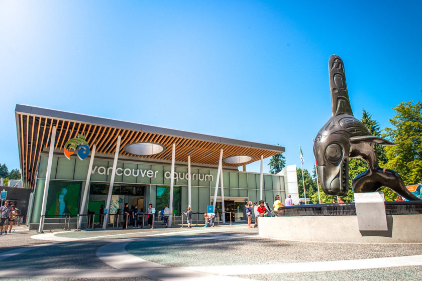 The Vancouver Aquarium - Vancouver itinerary
