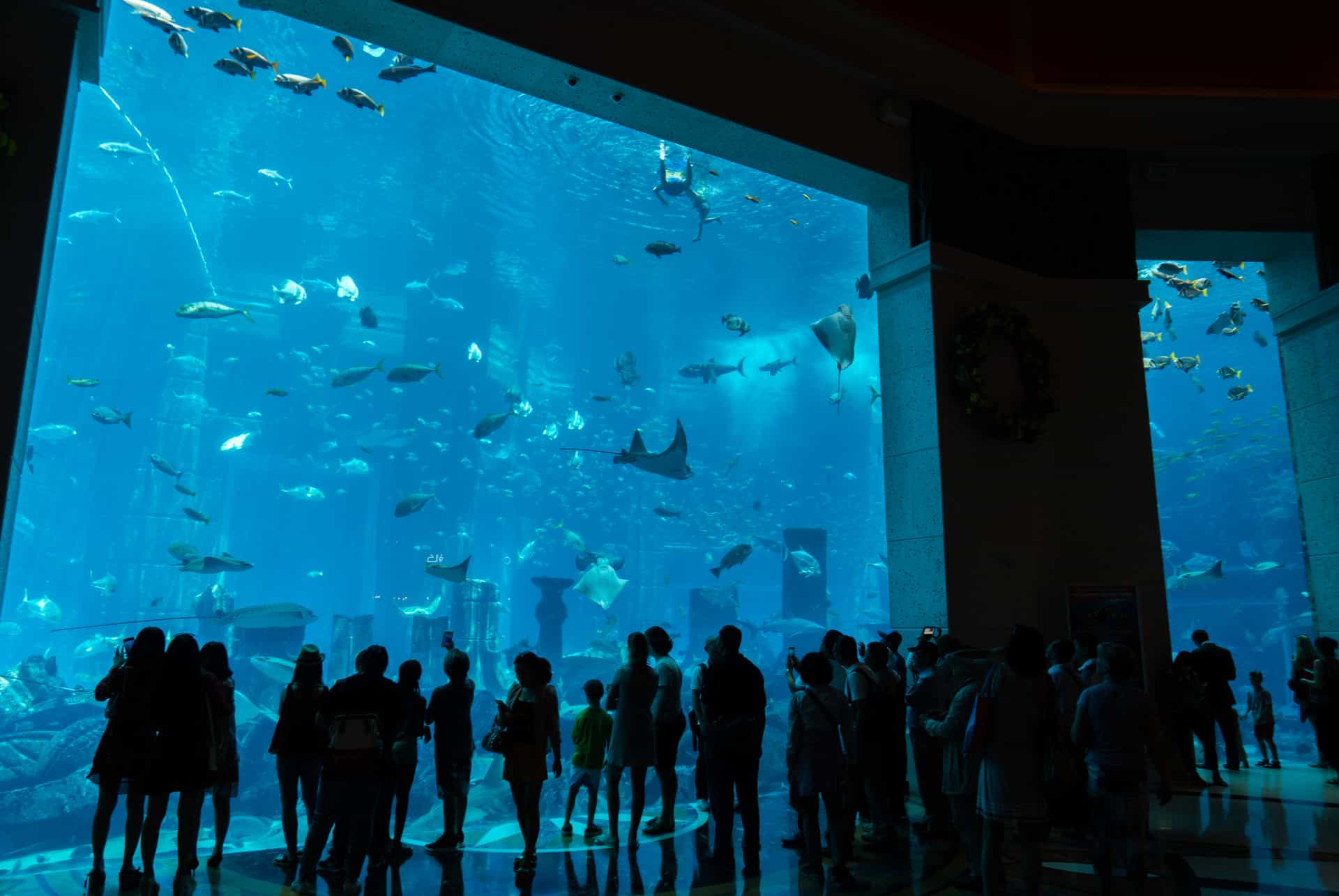 aquarium-lost-chambers