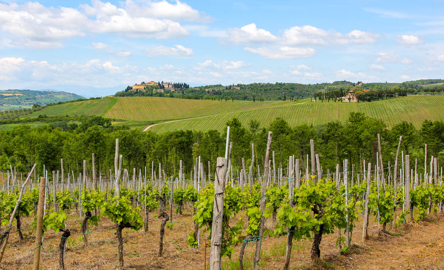 Vineyards in Chianti - Tuscany itinerary - Tuscany things to do