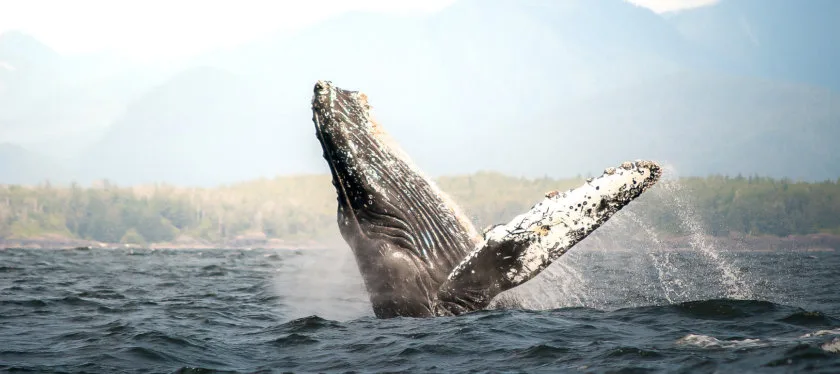 Canada itinerary 1 month