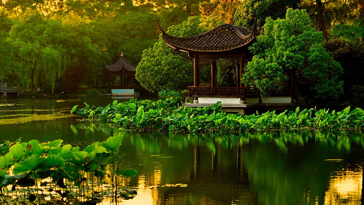 water-trees-pond-park-wallpaper-preview
