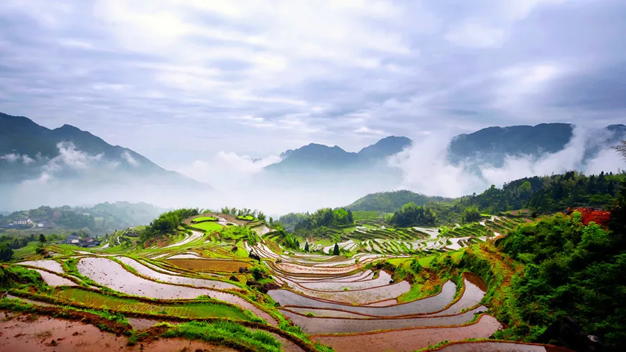 Yunhe-Rice-Terrace-in-Lishui-City-04
