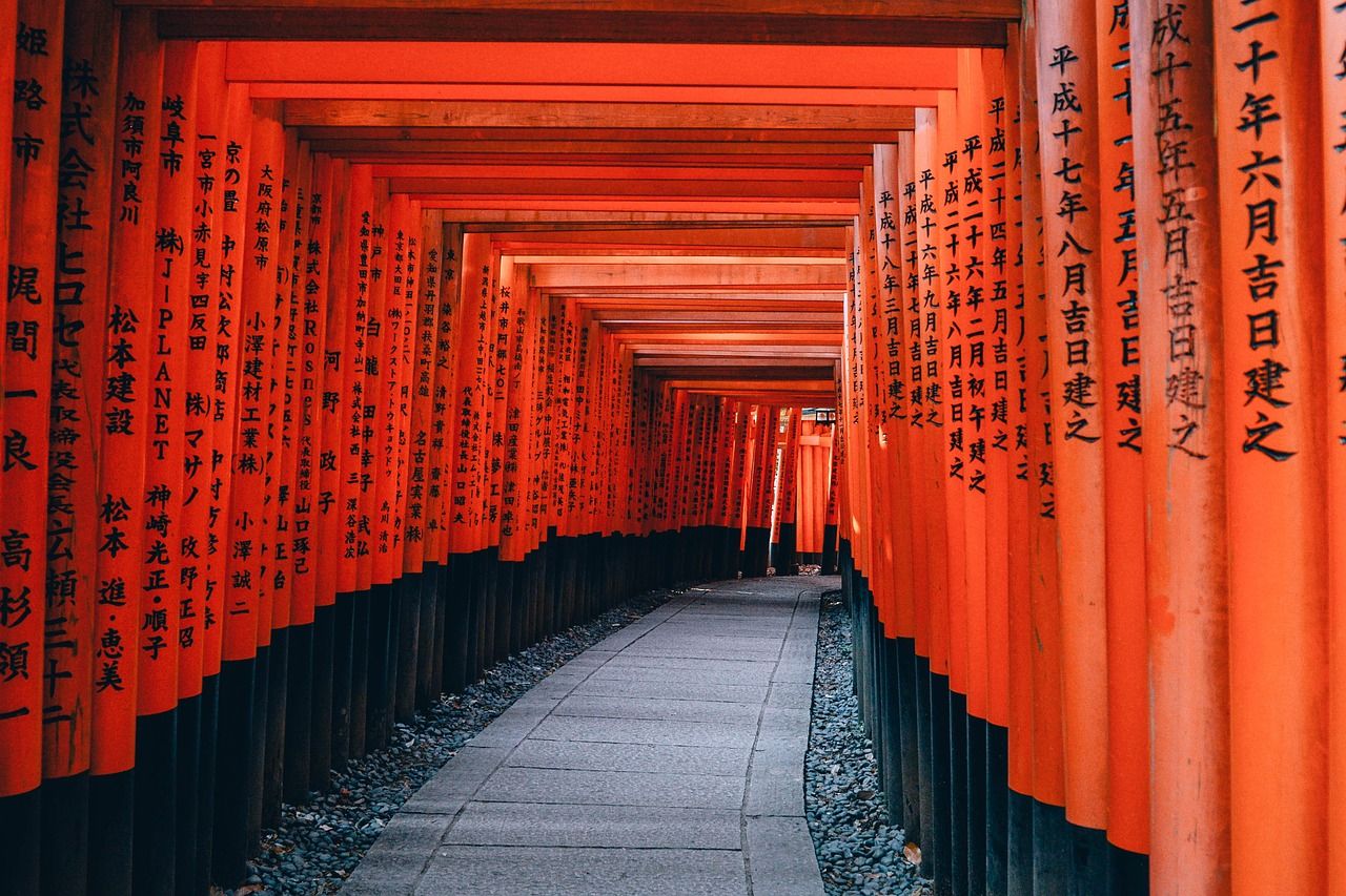 torii in Kyoto, 14 days Japan itinerary