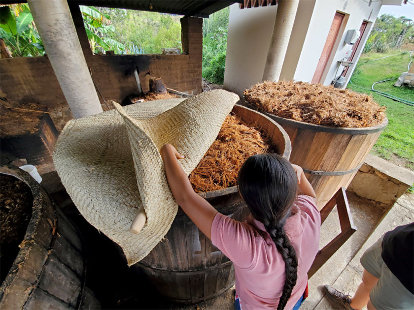 one thing to do in Oaxaca