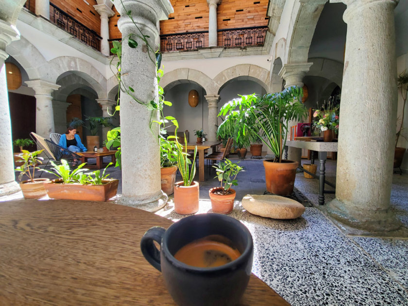 one thing to do in Oaxaca