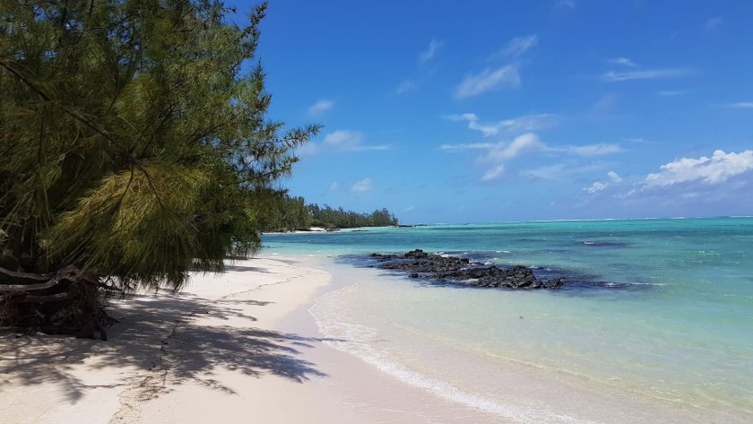 one thing to do in Ile aux Cerfs
