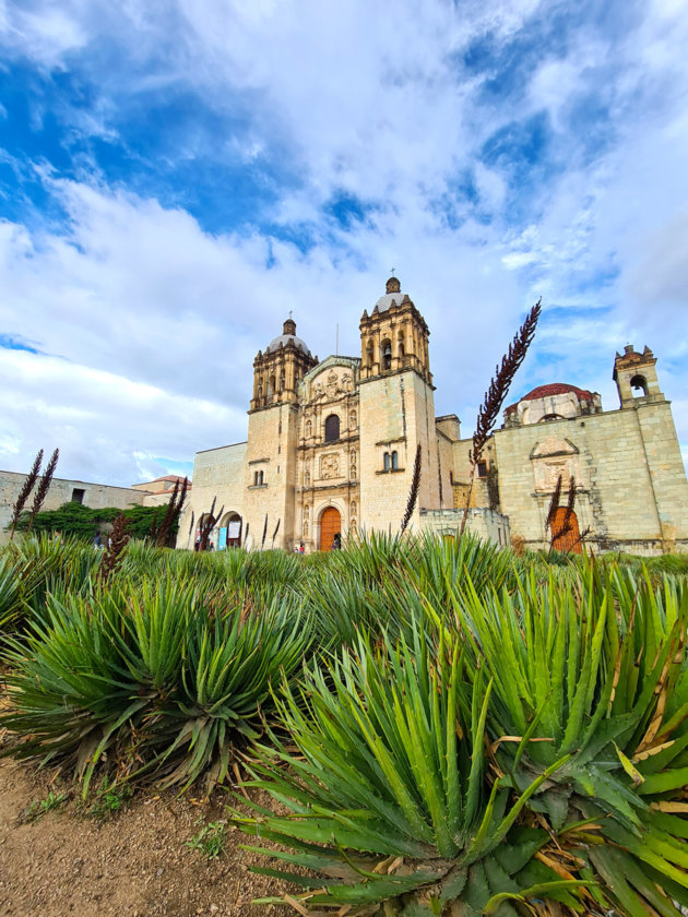 one thing to do in Oaxaca