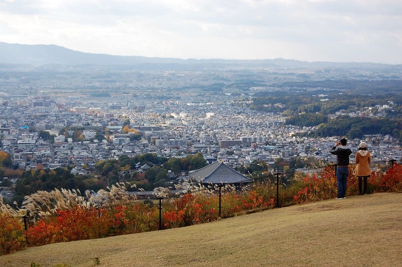 one thing to do in Nara