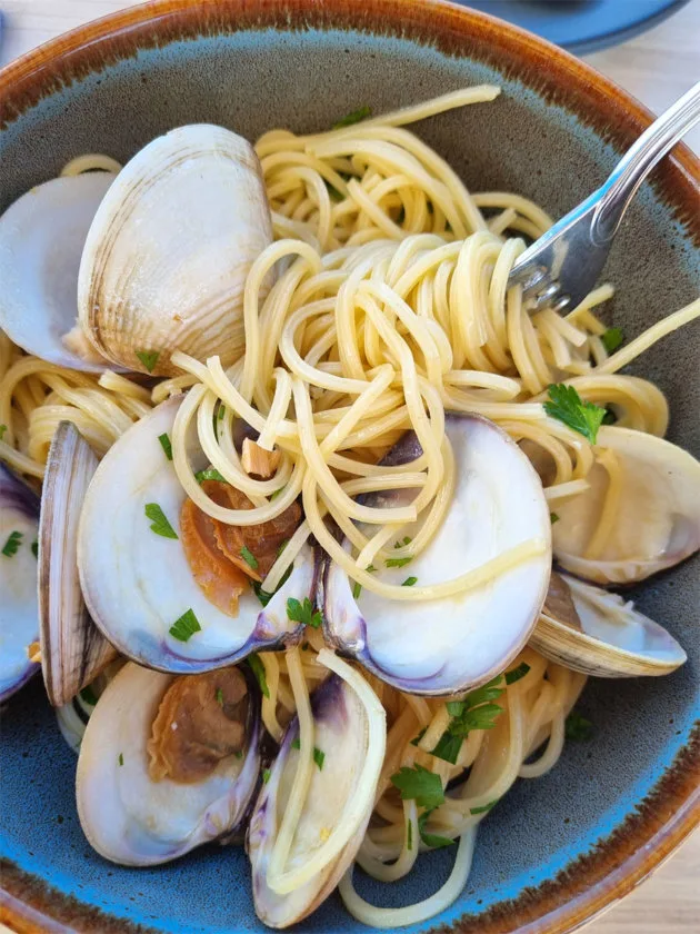 Puerto Morelos itinerary