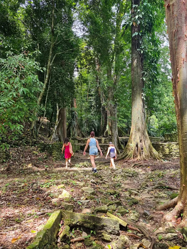 Palenque itinerary