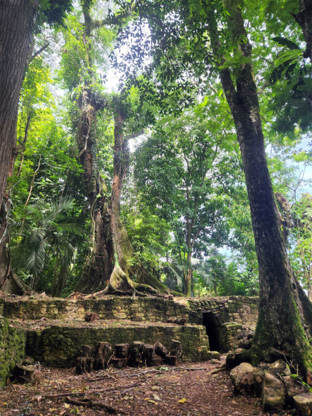 Palenque itinerary