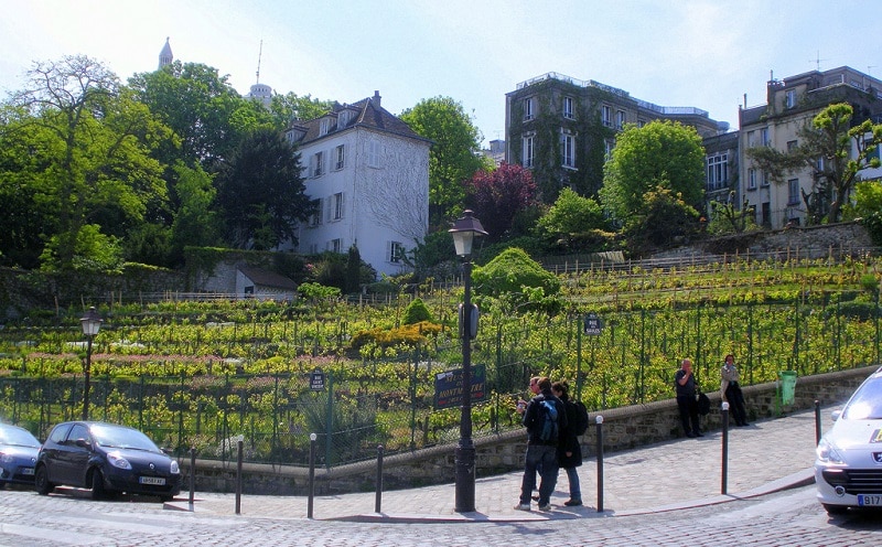 vignobles-montmartre-paris-1